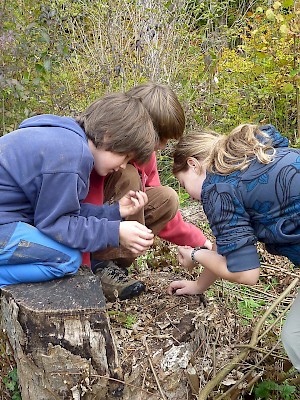 Kinder beim Beobachten (Pro Natura)