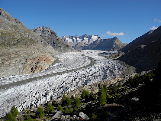 Aletschgletscher, VS ©Jan Gürke