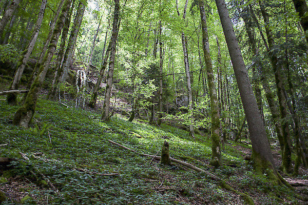 Le Theusseret, JU ©Matthias Sorg